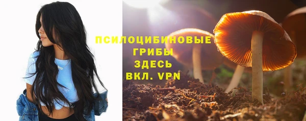 амфетамин Осинники
