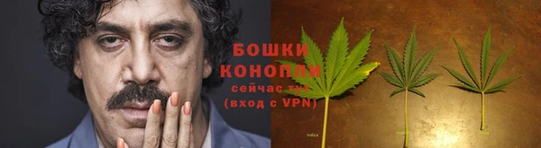мяу мяу мука Бутурлиновка