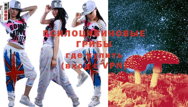 шишки Остров